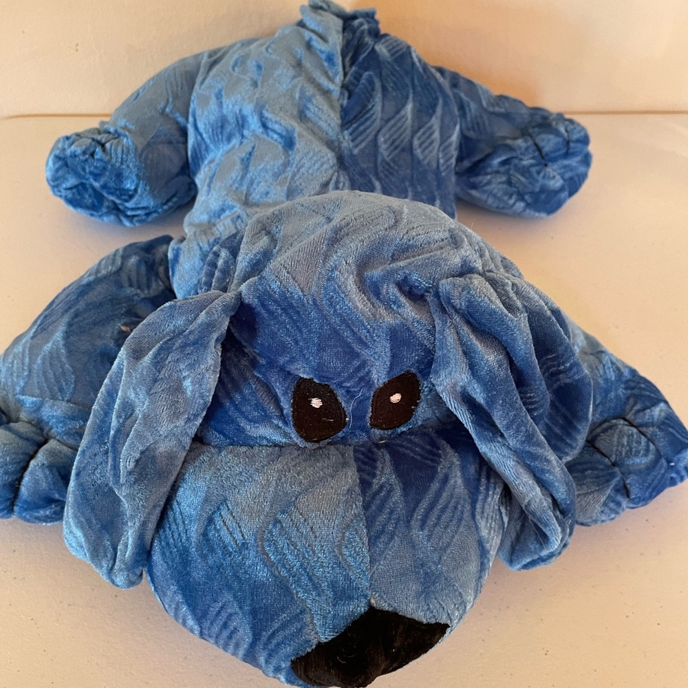 Blue Plush Dog Toy